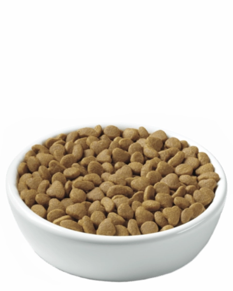 Purina Pro Plan Urinary Tract Health Chicken & Rice Formula Adult Dry Cat Food