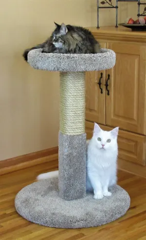 Purrniture Cat Furniture Deluxe Pedestal cat bed, cat blanket