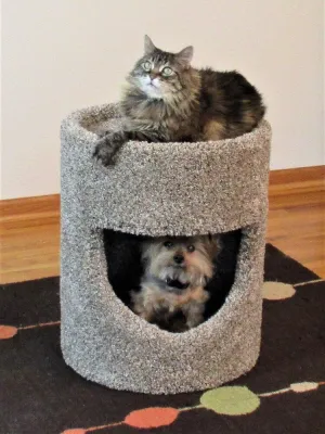 Purrniture Cat Furniture Fat Cat Cubby cat bed, cat blanket
