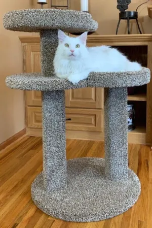 Purrniture Cat Furniture Sleeper cat bed, cat blanket