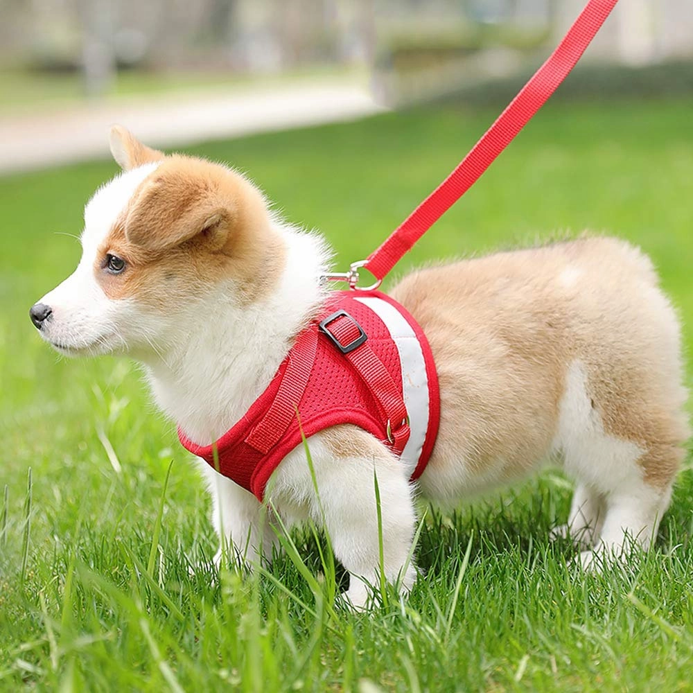 QPets Reflective Mesh Vest Harness with Leash for Dogs and Cats (Red)