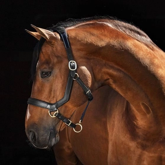 Rambo Micklem Leather Horse Halter