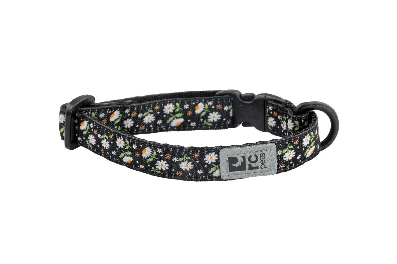 RC Pets Kitty Breakaway Collar for Cats in Daisies Pattern cat collar, breakaway cat harness