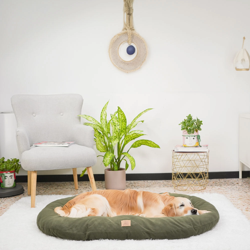 RELAX MICROFLEECE