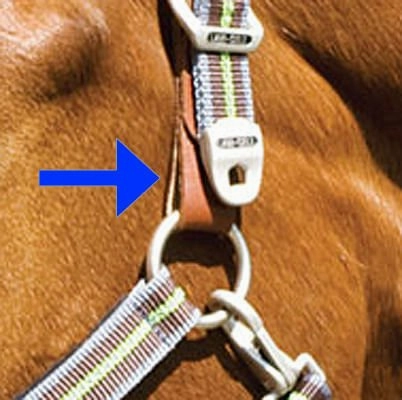 Replacement Tab for Breakaway Halter bird pet,aviary product