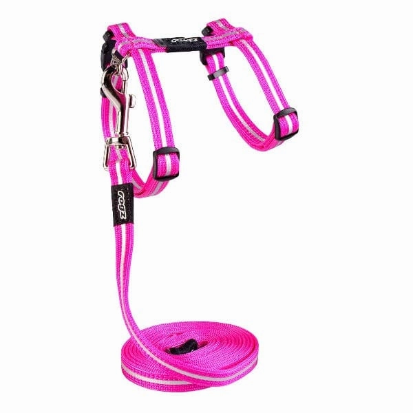 Rogz AlleyCat Harness & Lead Set