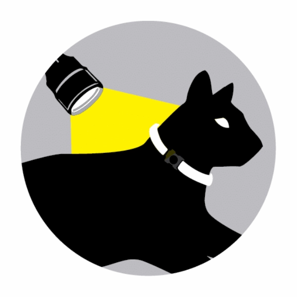 Rogz NightCat Safety Release Collar