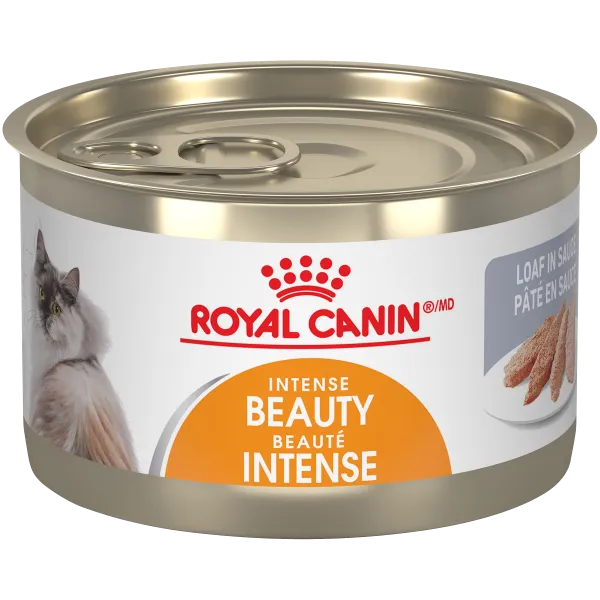Royal Canin Cat Adult Intense Beauty Thin Slices 3oz dry cat food, cat kibble