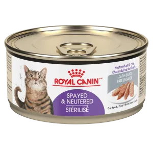 Royal Canin Cat Appetite Control 5.1oz adult cat food, best cat food for adults
