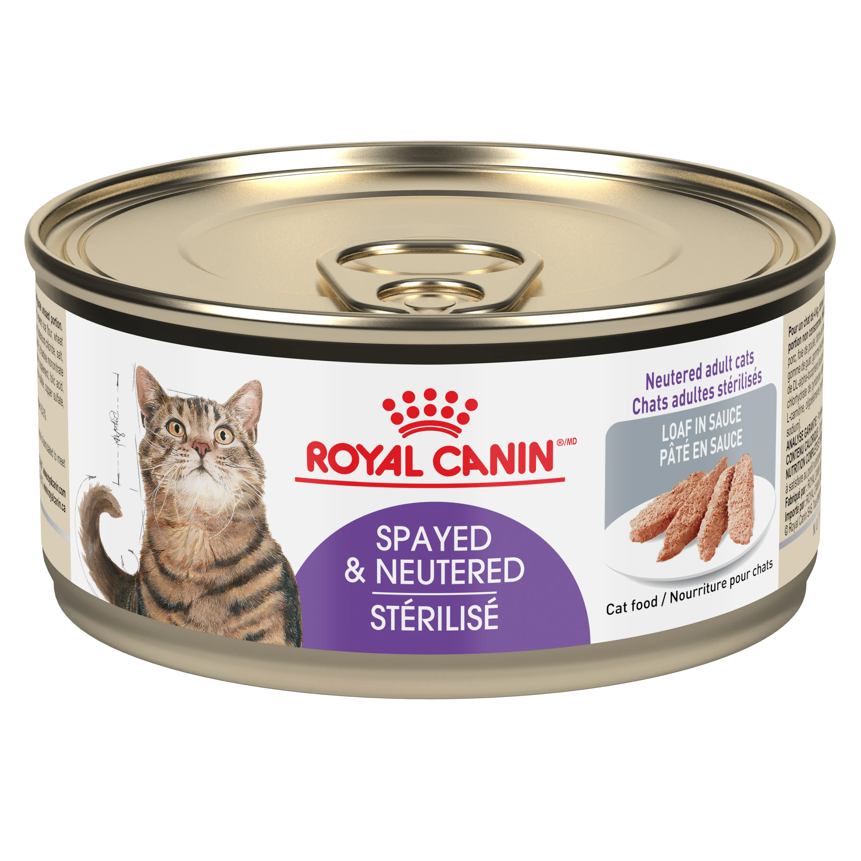 Royal Canin Cat Appetite Control 5.1oz adult cat food, best cat food for adults