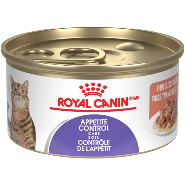 Royal Canin Cat Appetite Control Thin Slices 3oz adult cat food, best cat food for adults