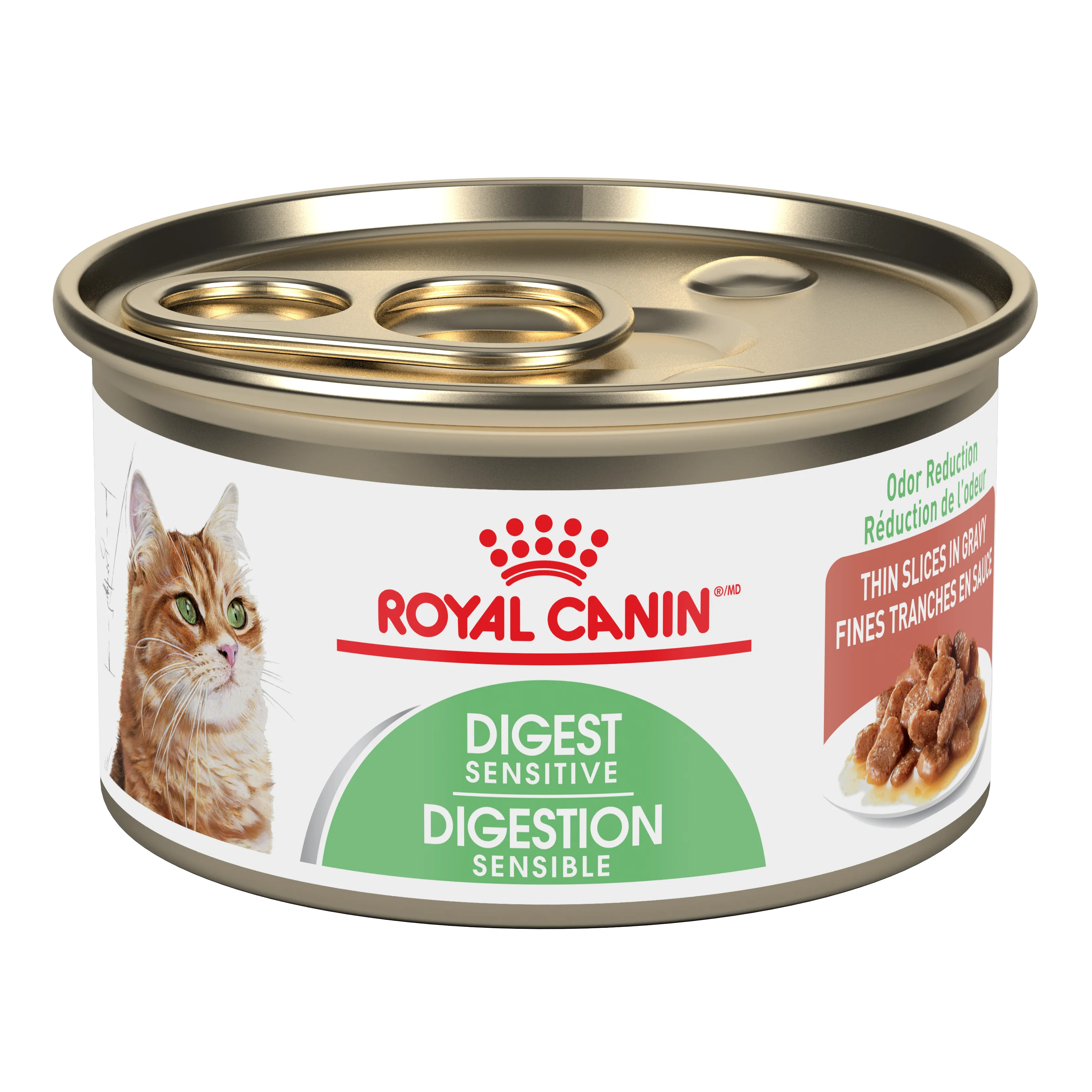 Royal Canin Cat Digestive Care Thin Slices 3oz adult cat food, best cat food for adults