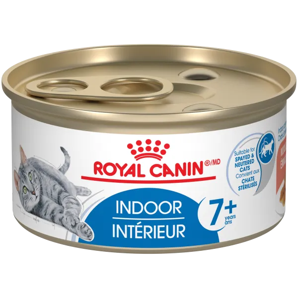 Royal Canin Cat Indoor 7  Thin Slices 3oz adult cat food, best cat food for adults