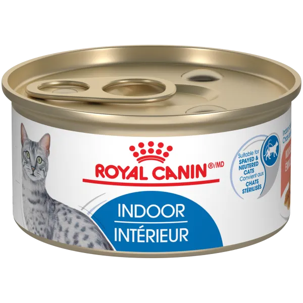 Royal Canin Cat Indoor Thin Slices 3oz adult cat food, best cat food for adults