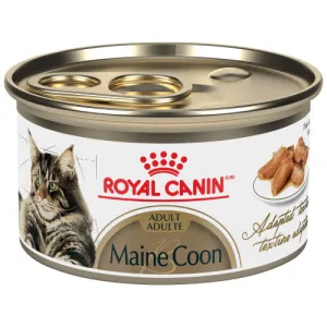 Royal Canin Cat Maine Coon 3oz dry cat food, cat kibble