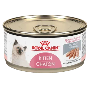 Royal Canin Kitten 5.1oz kitten care supplies, kitten milk replacer