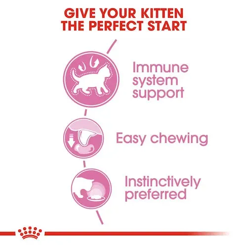 Royal Canin - Kitten Wet Food In Jelly 85g