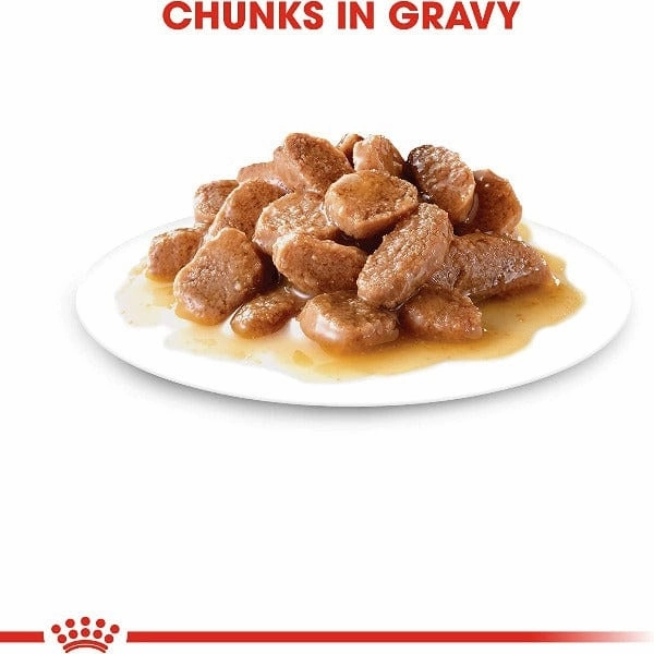 Royal Canin Adult Instinctive Chunks in Gravy Cat Food Pouch