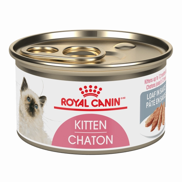 Royal Canin Kitten Loaf in Sauce Canned Cat Food
