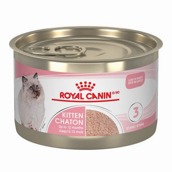 Royal Canin Kitten Loaf in Sauce Canned Cat Food