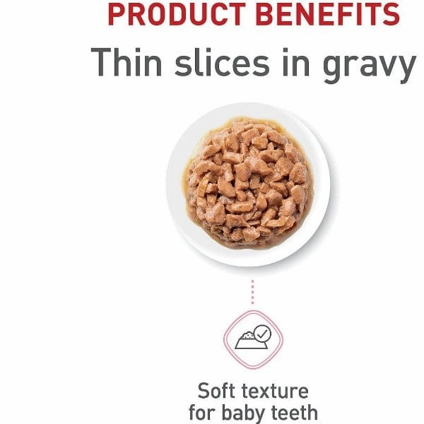Royal Canin Kitten Thin Slices in Gravy Canned Cat Food, 85g