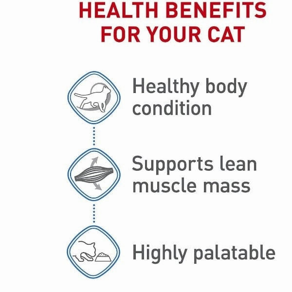 Royal Canin Weight Care Chunks in Gravy Adult Cat Food Pouch