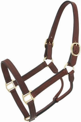 Royal King Preakness Leather Track Horse Halter bird pet,aviary product