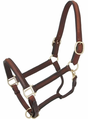 Royal King Raised Leather Halter bird pet,aviary product