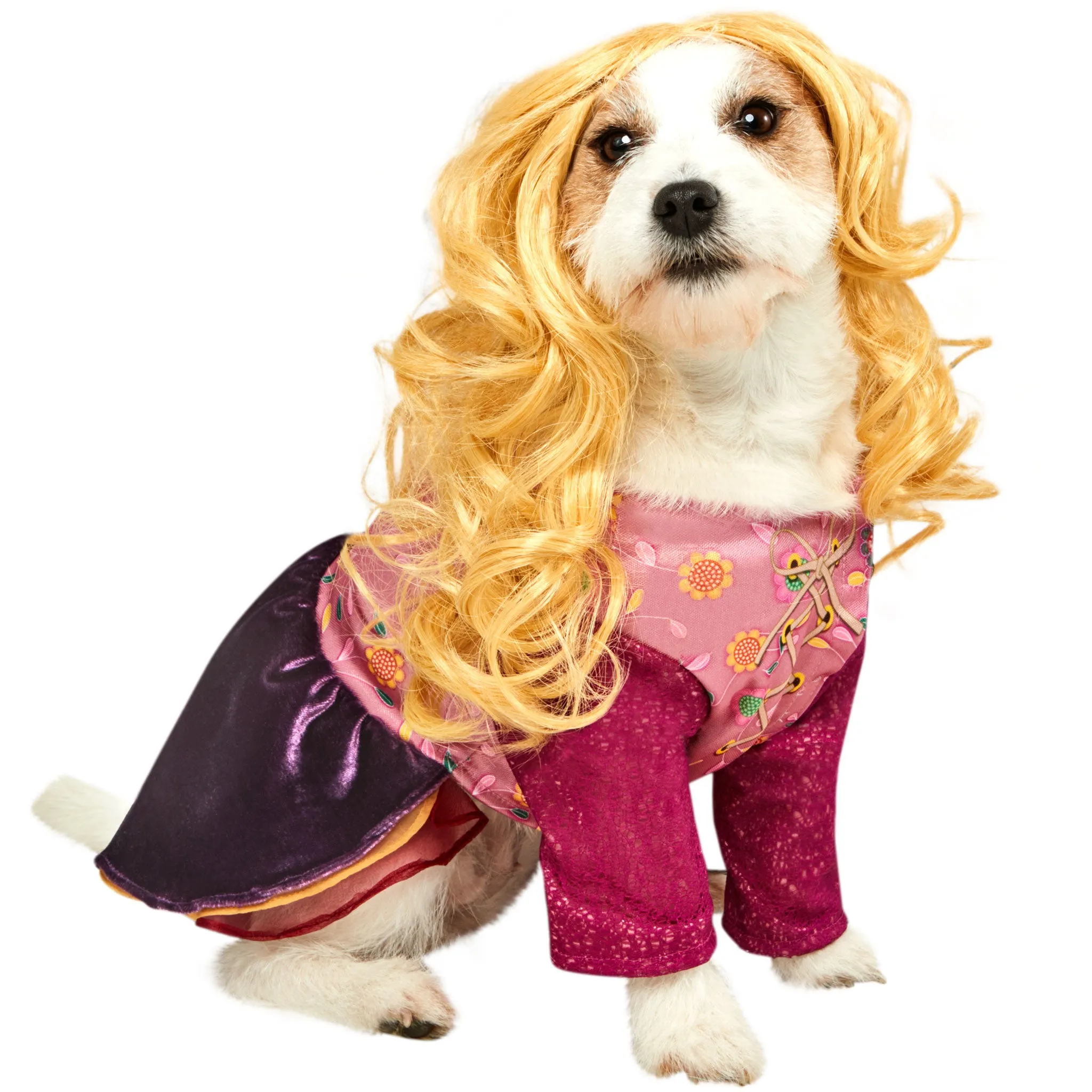 Rubie's Hocus Pocus Sarah Pet Costume cat toys, cat supplies
