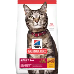 Science Diet Adult Chicken Recipe cat food dry cat food, cat kibble