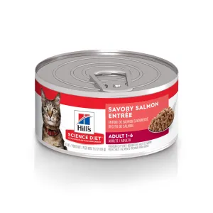 Science Diet Cat Adult Savory Salmon Entree 5.5oz adult cat food, best cat food for adults