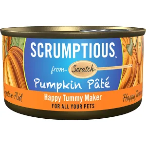 Scrumptious Pumpkin Pate 2.8OZ | Dog & Cat dry cat food, cat kibble