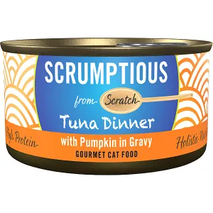 Scrumptious Tuna & Pumpkin 2.8OZ | Cat dry cat food, cat kibble