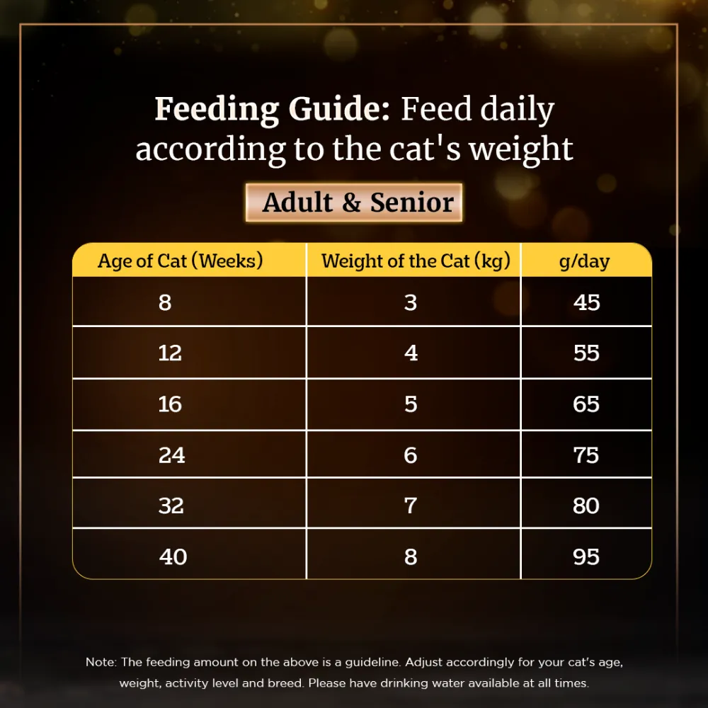 Sheba Chicken With Tuna In Gravy Rich Premium Adult Fine Wet Food and Chicken Flavour Irresistible All Life Stage Cat Dry Food Combo