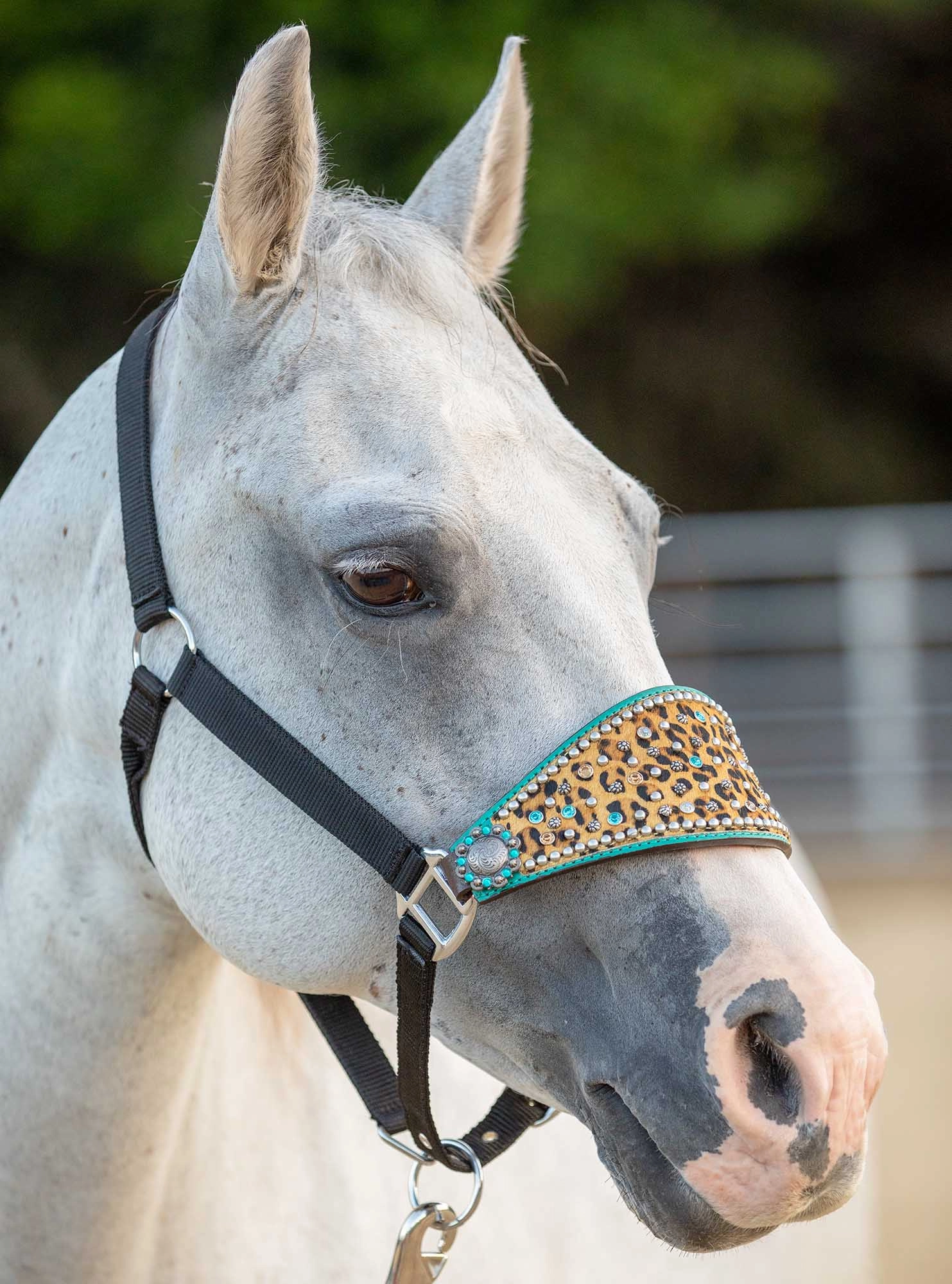 Showman Cheetah & Rhinestone Bronc Halter