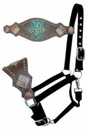 Showman Gator Bronc Halter, Turquoise/Brown bird pet,aviary product