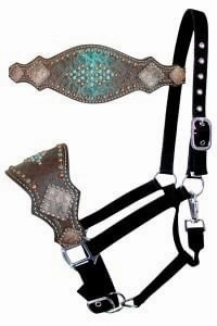 Showman Gator Bronc Halter, Turquoise/Brown bird pet,aviary product