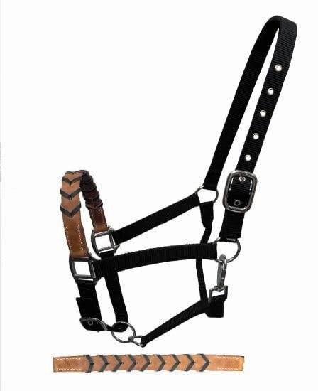 Showman Leather Nose & Buckstitch Halter bird pet,aviary product