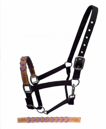 Showman Leather Nose & Buckstitch Halter