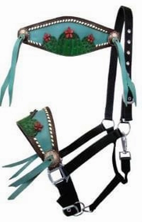 Showman Painted Cactus & 3D Flower Bronc Halter bird pet,aviary product