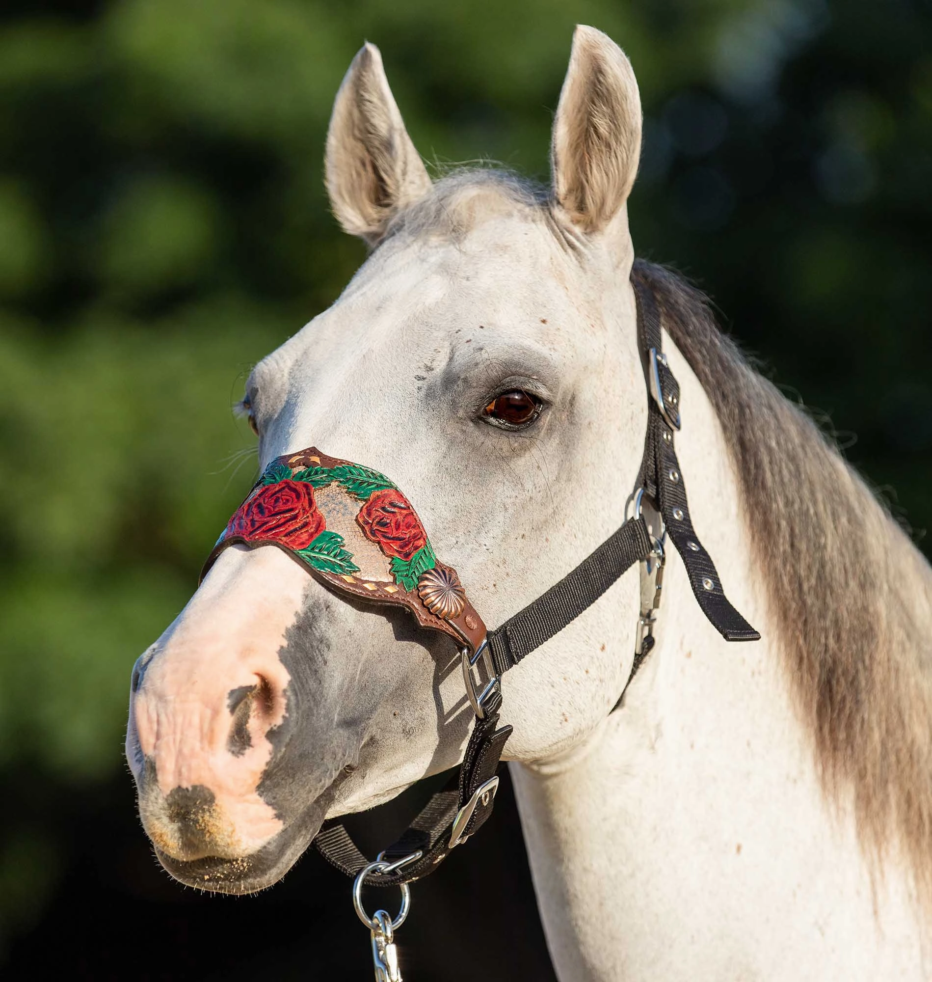 Showman Painted Rose Bronc Halter