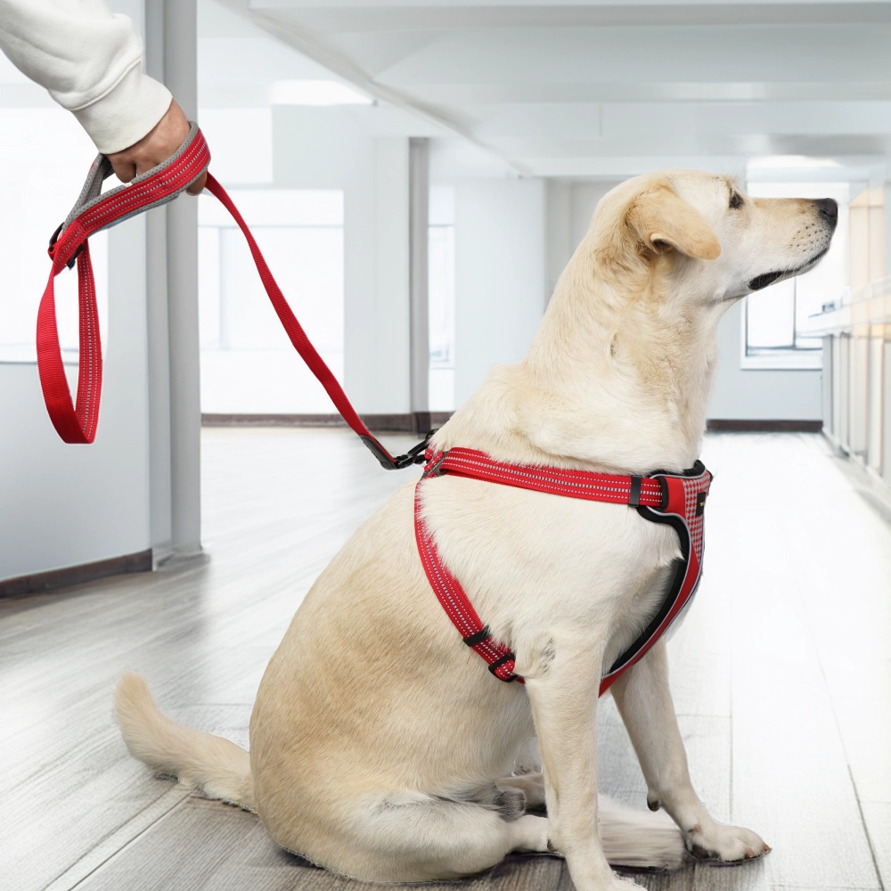 Skatrs Adventure in Style & Comfort Fiery Leash for Dogs and Cats (Red)