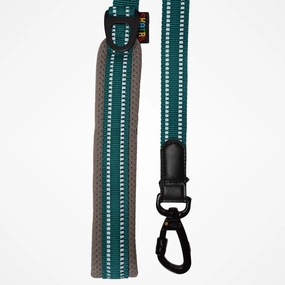 Skatrs Adventure in Style & Comfort Ocean Wave Leash for Dogs and Cats (Blue)
