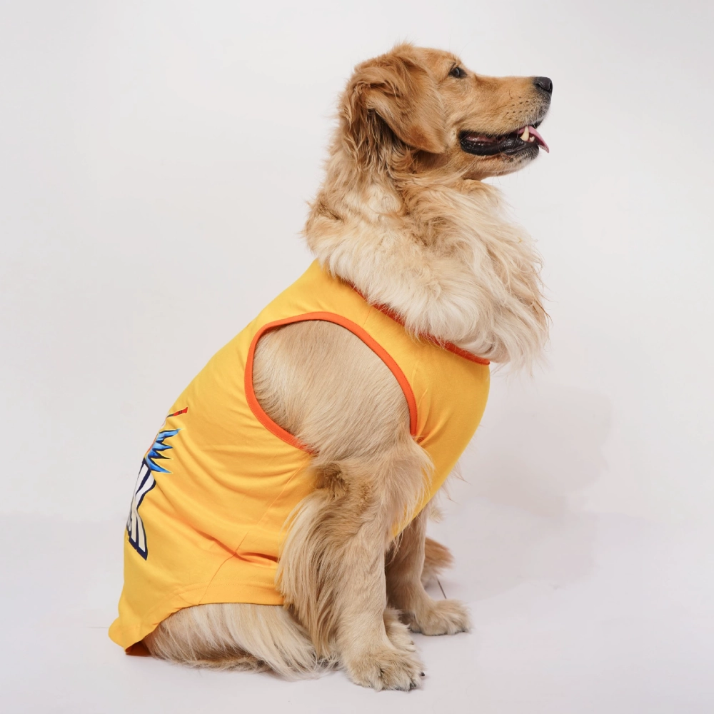 Skatrs Chepawk Superkings Cricket Jersey for Dogs and Cats (Yellow)