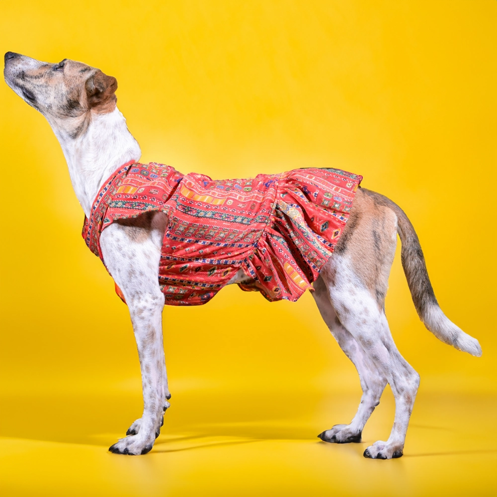 Skatrs Cotton Printed Dress for Dogs and Cats (Red)