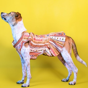 Skatrs Cotton Printed Dress for Dogs and Cats (White)