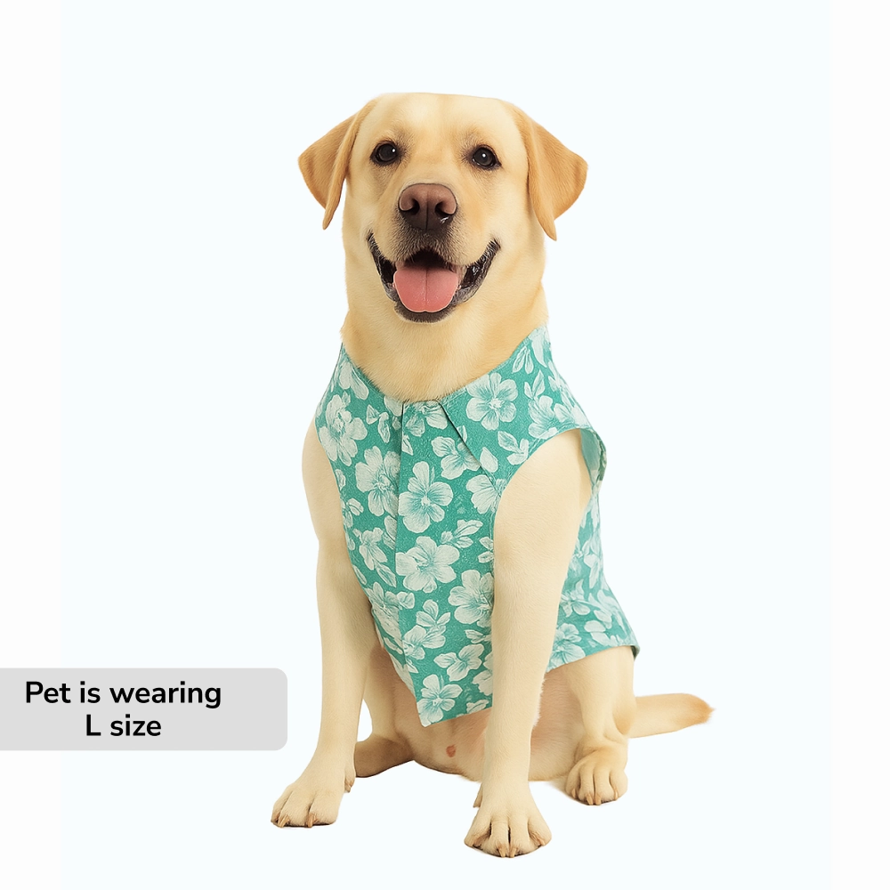 Skatrs Floral Grace Kurta for Dogs and Cats (Blue)