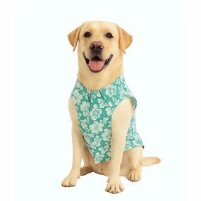 Skatrs Floral Grace Kurta for Dogs and Cats (Blue)