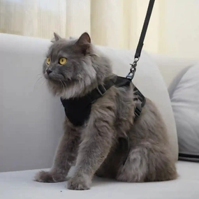 Skatrs Harness with Leash for Cats (Black)