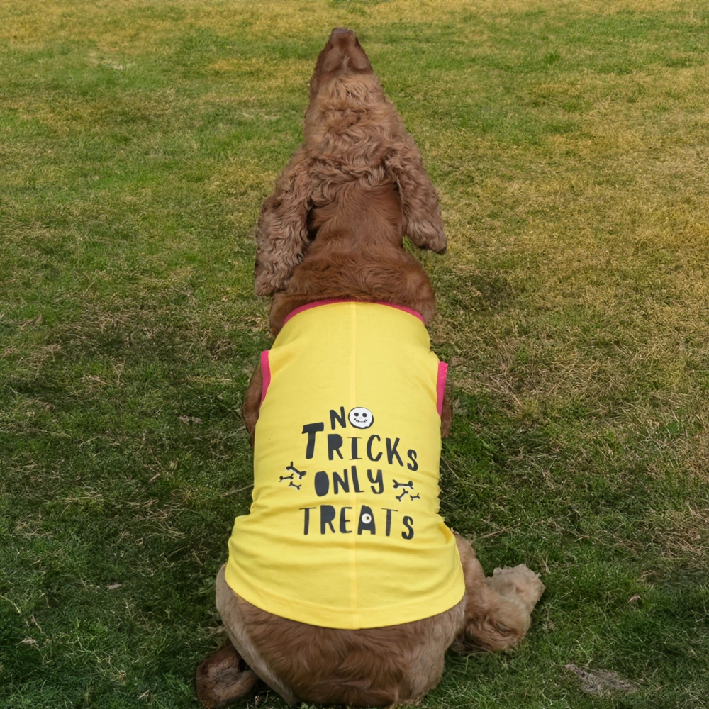 Skatrs No Tricks Only Treats Printed Summer Cotton T Shirt Dogs and Cats (Yellow)